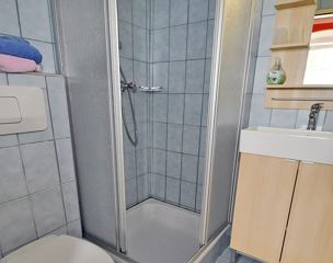 Double room, shower or bath, toilet, lake view