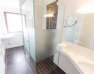 Double room, shower or bath, toilet, lake view