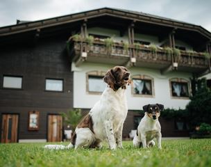 Rundblick - dogs welcome- can be booked seperately