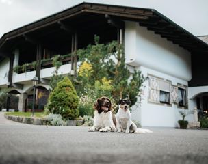 Bergblick barrierefrei - Hunde willkommen-buchbar