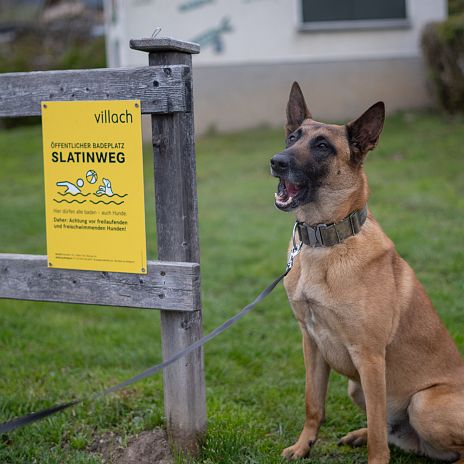 230412-seezugang-hunde-kerstin-katzjaeger-giannakopoulos4-1