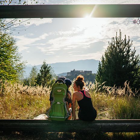 Cornice rotonda per castello 3