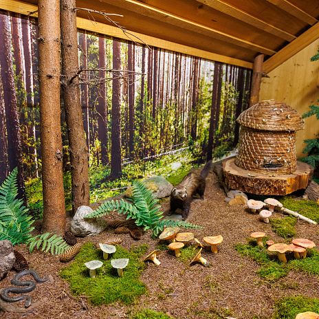 Pilz- & Elli Riehl Puppen-Museum 12