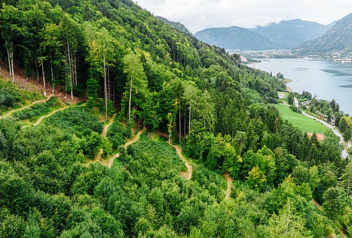 Alban Berg Trail 4