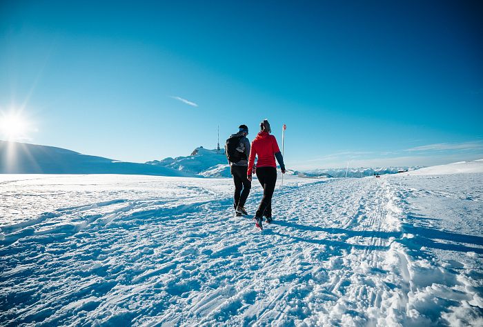 Winterwandern am Dobratsch 1