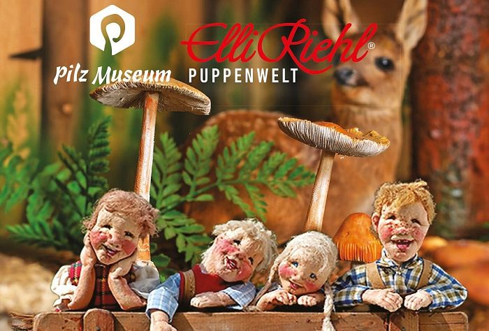 Region-Villach-Tourismus_Manuel-Aichholzer_Pilzmuseum-3_Region-Villach-Tourismus-GmbH_infrastil
