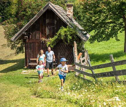 00000068559-fuchsfaehrte-kaernten-werbung-franz-gerdl-4