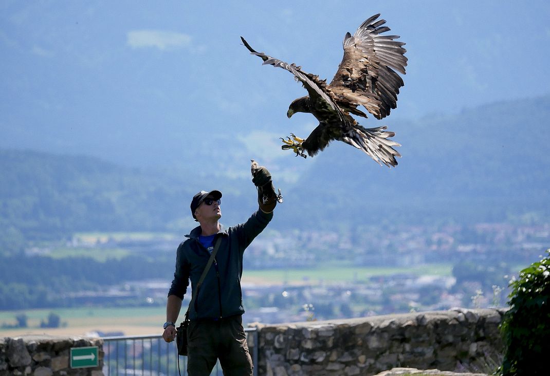 adler-arena-burg-landskron-16-region-villach-tourismus-gmbh-klaus-freithofer-6