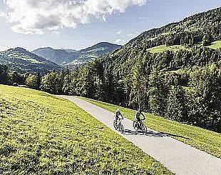 alpe-adria-u-tauernradweg-bei-schwarzach-6721csalzburgerland-markus-greber-6