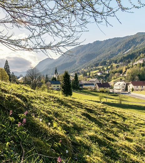 bad-bleiberg-2