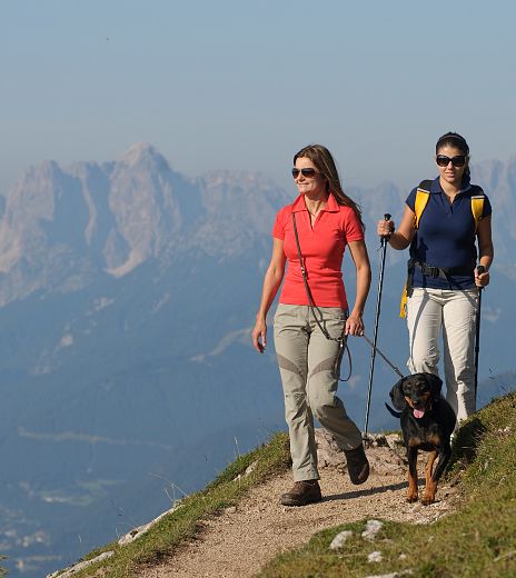 dobratsch-mit-hund-2