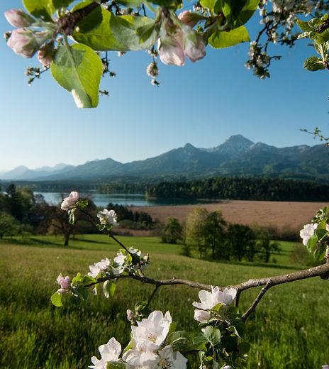 drobollach-am-faaker-see-7