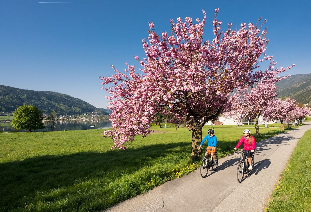 fruehling-am-ossiacher-see-2-1
