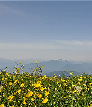 wandern-gerlitzen-alpe-markus-ramsbacher-1-1