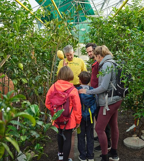 zitrusgarten-fuehrung-1-region-villach-tourismus-gmbh-arnold-poeschl-7